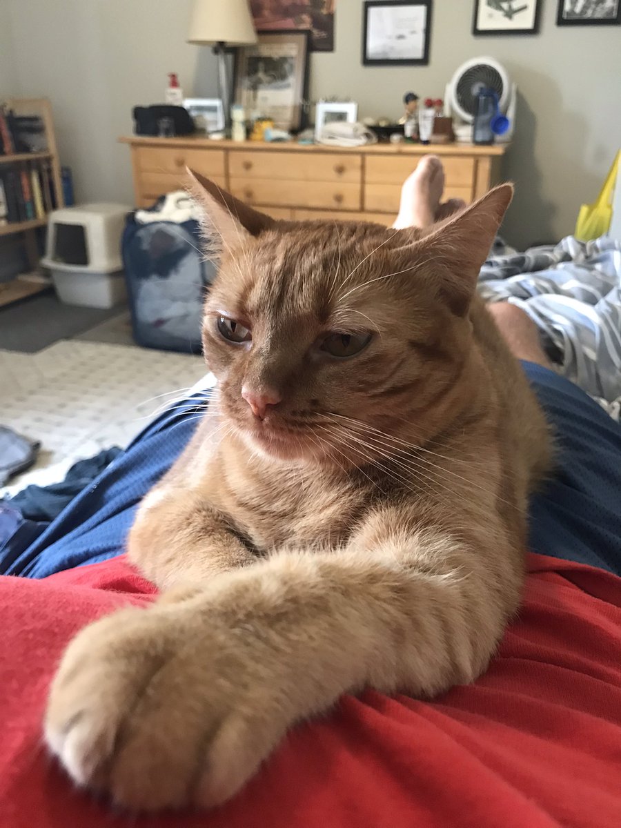 RgossRyan's tweet photo. Her favorite spot https://t.co/yWnZiRZf9l