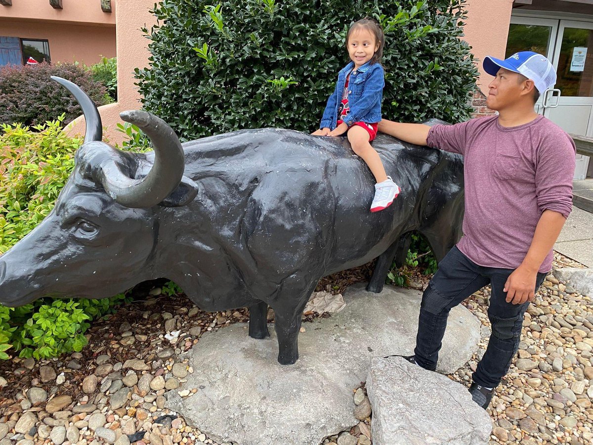 santafecattle's tweet photo. Send us your Santa Fe Bull pic, and you can be featured on our page! 😁📸

#SantaFeBullPic #YaHeard #WeLoveSantaFeCattle #SantaFeCattle https://t.co/p7iiFCiW8J