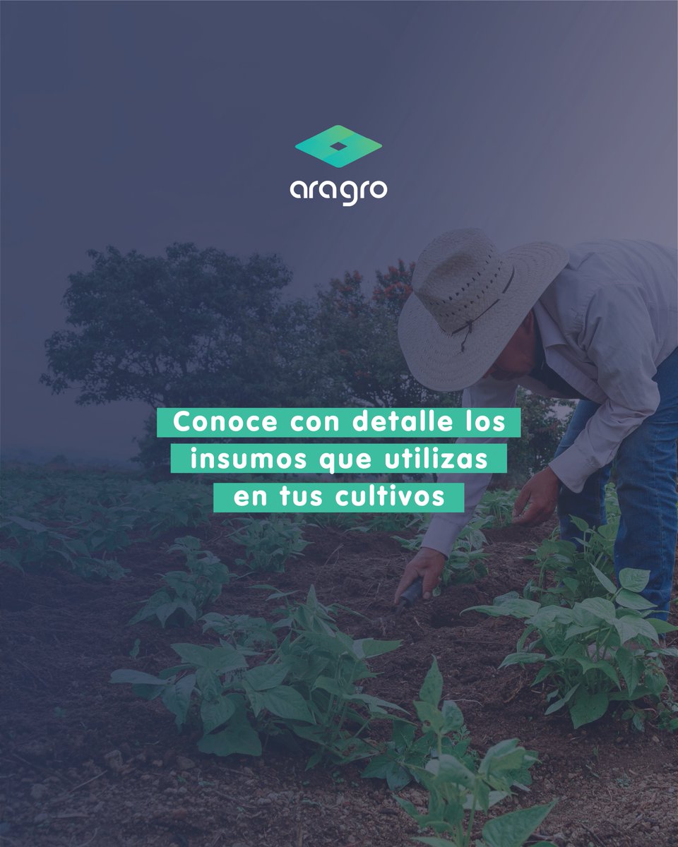 AragroApp's tweet photo. Utiliza nuestros #reportes de #Aragro para conocer todo sobre tus #insumos: dosis, costo, cuándo y dónde lo utilizaste y qué impacto tuvo en tu cosecha 🌿 ¡Solicita un demo!  

#Agrosoftware #Agricultura #Agro #TecnologiaAgricola #Software #AgriculturaDigital #AgTech https://t.co/CoMAy0eWHB