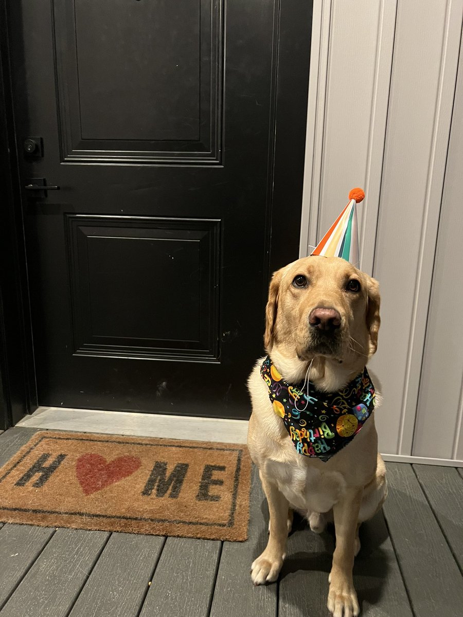 MissKramerSCSF's tweet photo. And a BIG happy 3rd birthday to Titan! We love you! #dogsofmason #kindnessstartswithME #masonmomentum https://t.co/EYd0cAnRfo