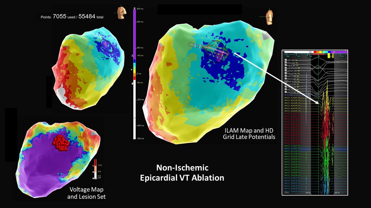 Margo Shemaria tweet media