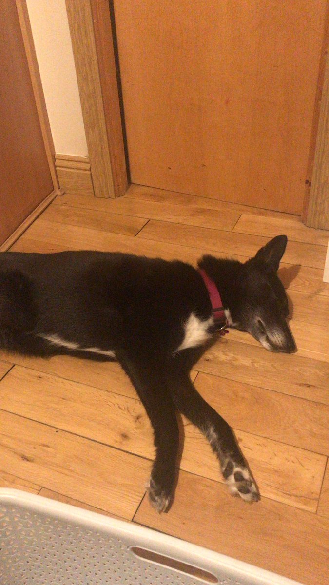 Clare Slevin tweet media