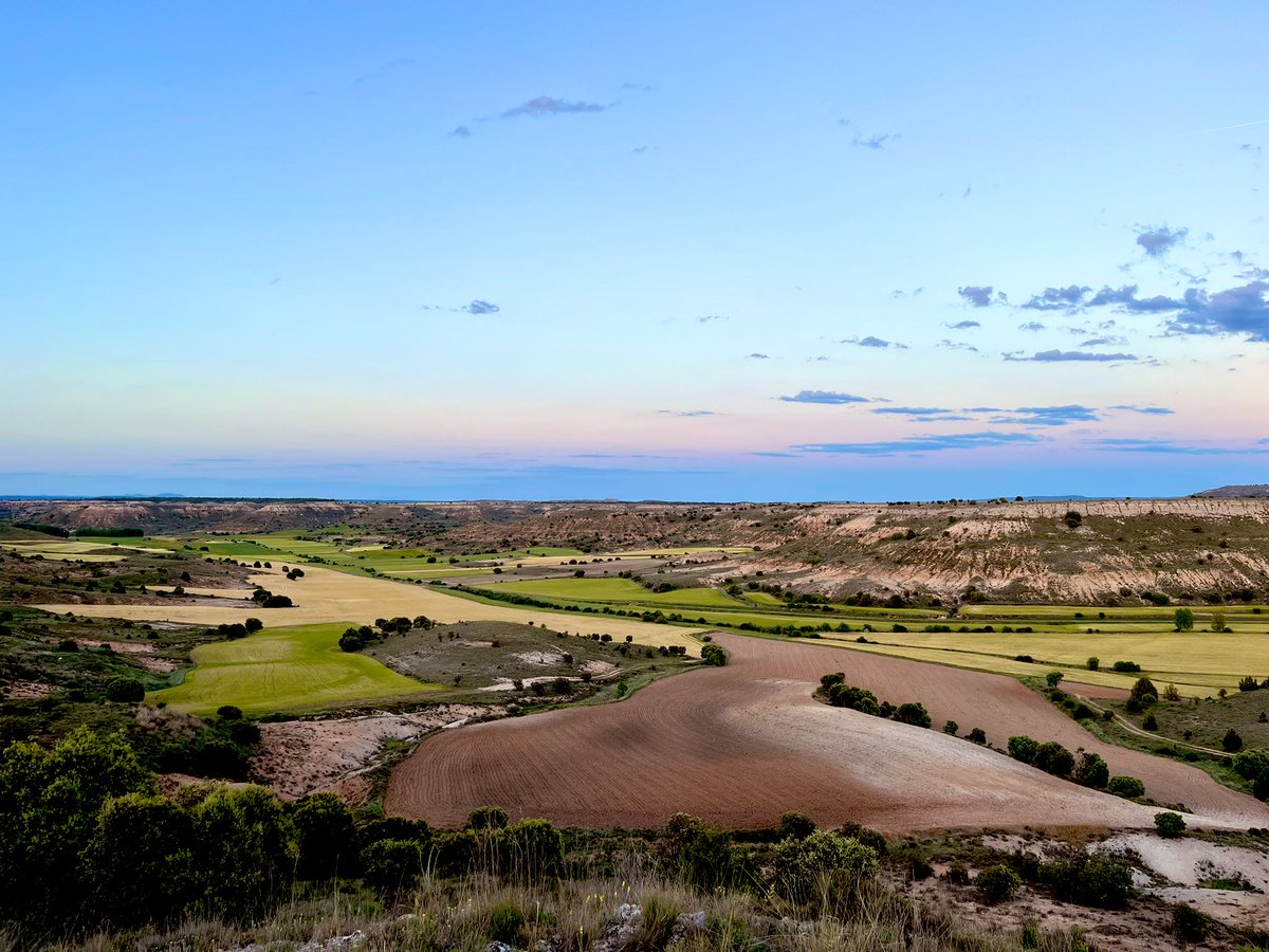 laubellido's tweet photo. #Tierra de los campos de #Castilla de #Soria desde El Cerro de los Caballeros. No sé si pertenece a Morcuera o Quintanas Rubias de Abajo 😅 @mongeleon #37de52 #proyecto52 https://t.co/iOIfZjVW4a