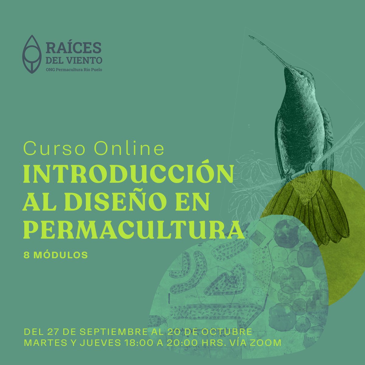 RaicesDelViento's tweet photo. ¡Inscripciones abiertas a nuestro #curso online! Aprende de diseño en #permacultura: ecología, climas, suelos, agricultura y producción ecológica, y el proceso de diseño de asentamientos humanos sostenibles.
Programa completo e inscripciones en https://t.co/isxfVtmmWH https://t.co/P2a5FpIlHo