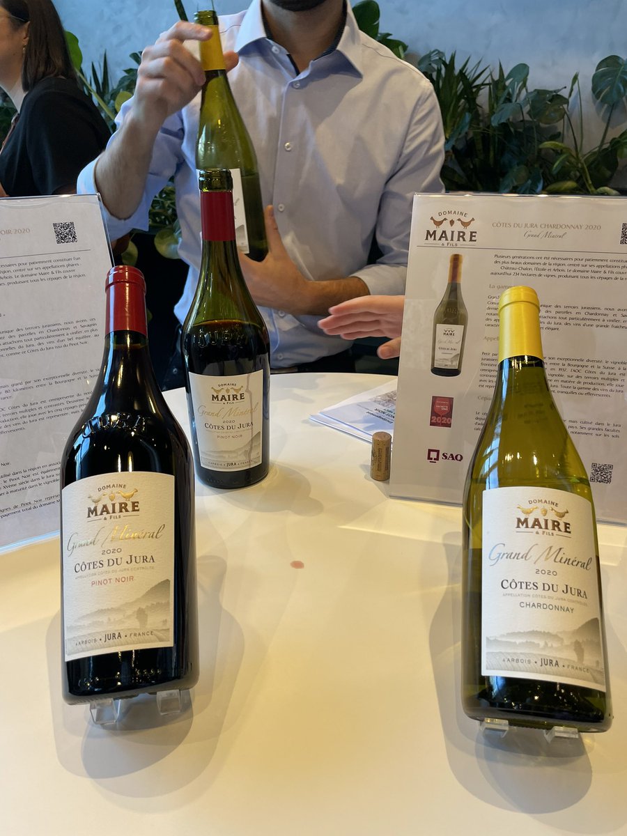 Paula Bernardino tweet media