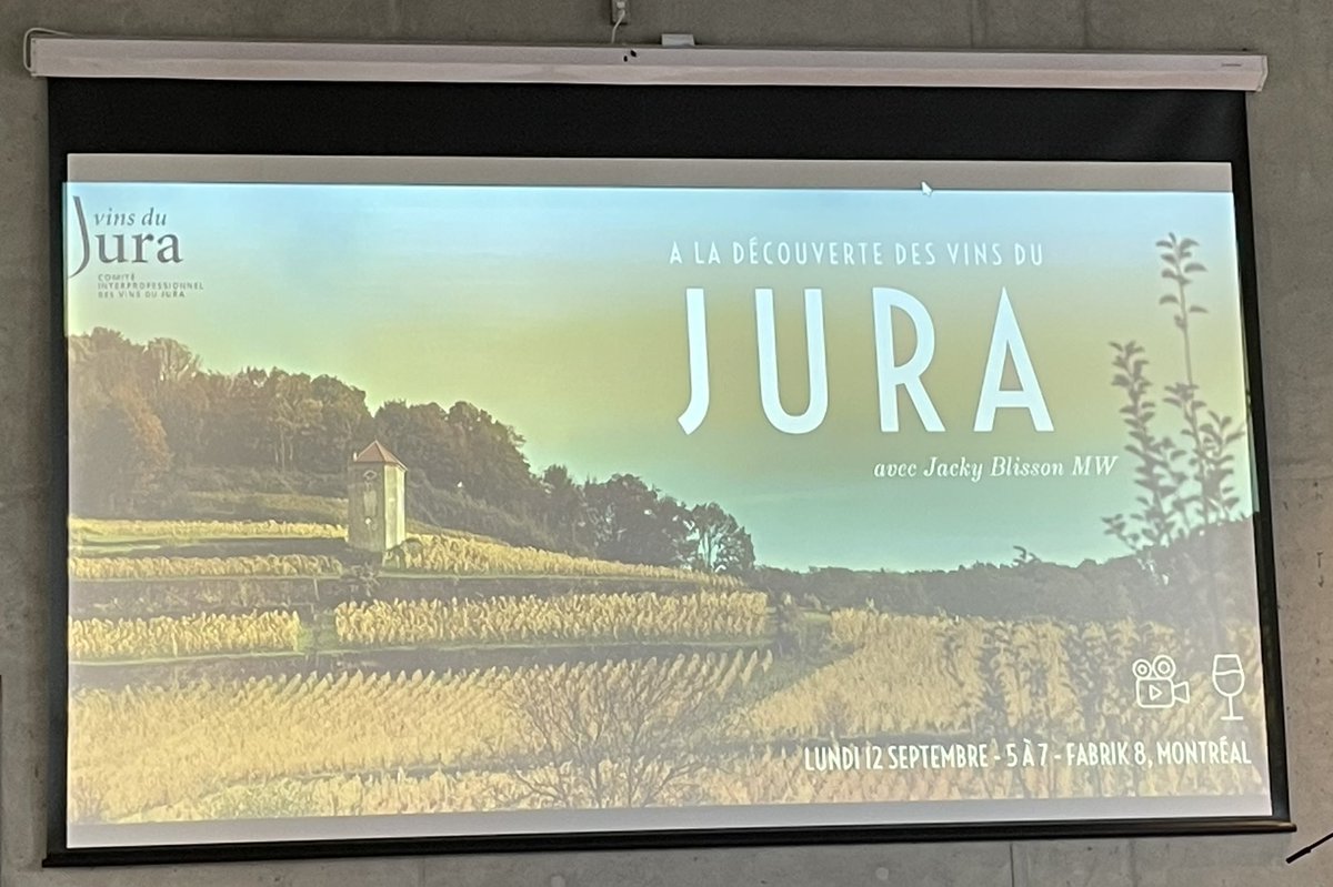 Paula Bernardino tweet media