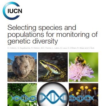 redlisteco's tweet photo. Genetic #diversity provides the foundation for biodiversity and is necessary for long-term survival, adaptation, and resilience not only for individuals, but also for populations, species, and entire #ecosystems.
📖
Learn more in this @IUCN publication 👇
https://t.co/aDykqGS02P https://t.co/XUnHP4Xmt9