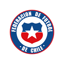 InfoRealEcuador's tweet photo. 🚨 ATENCIÓN 🚨 
FIFA descalifica a Ecuador de Catar 2022 y le da el pase directamente a la final a Chile. https://t.co/GepxvdIBej