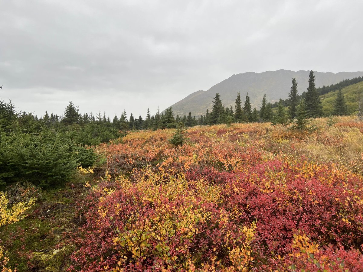 It’s looking a lot like fall.