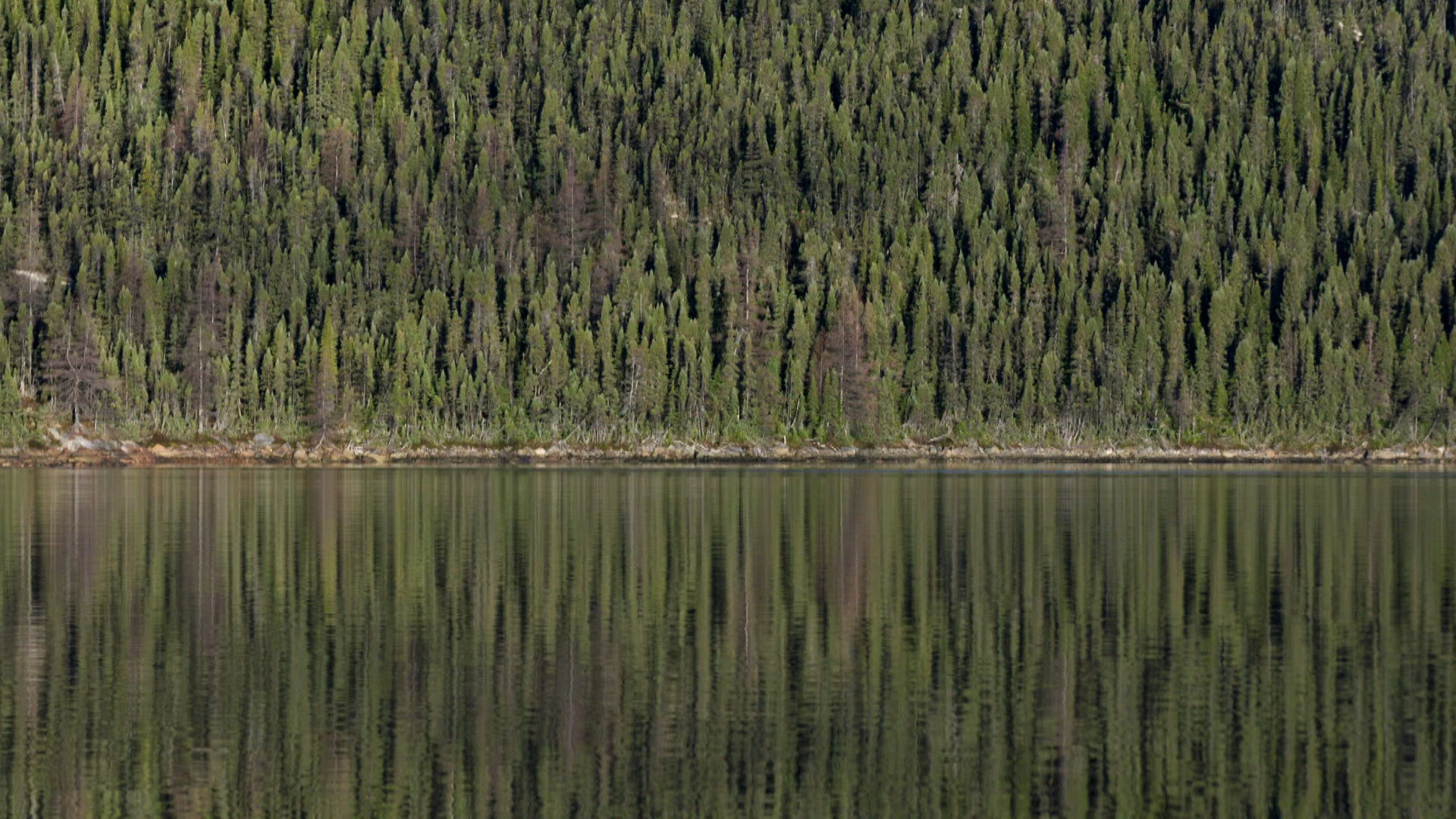 HISTORY on Twitter "We are back to our regularly scheduled programming