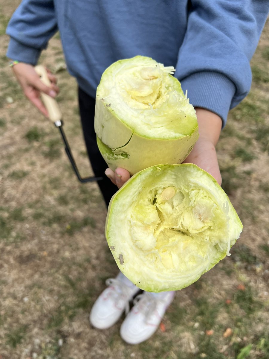 HinderYYC's tweet photo. This pumpkin became a metaphor for our community. We talked about the fact that community needs awareness, forgiveness + mindfulness to grow. Students decided to plant the seeds back in the garden to give back what was broken. #learningthroughplants #getoutside https://t.co/P3uqycoS2q