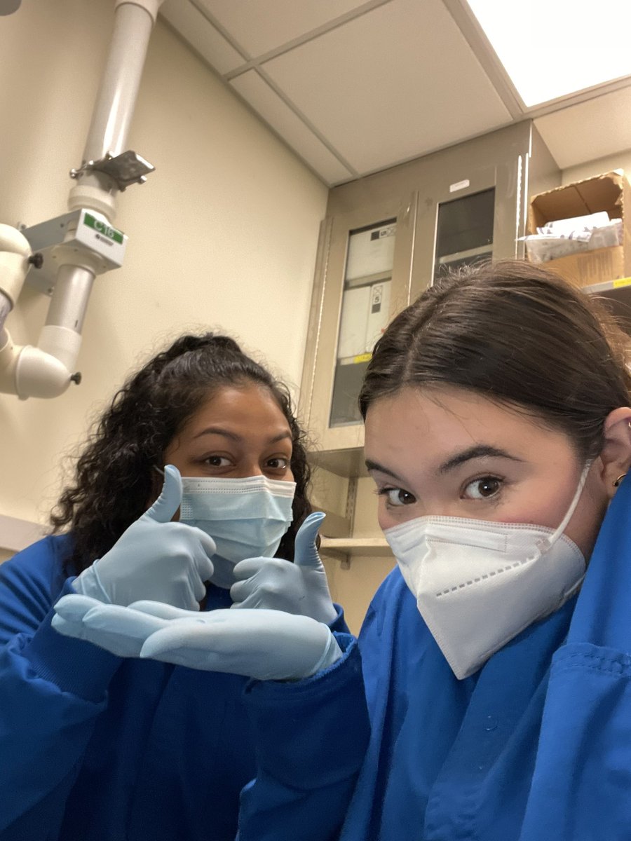 stutiiagrawall's tweet photo. first day of lab/classes 🤩😍 #SmithLab https://t.co/22yMh1D2E8