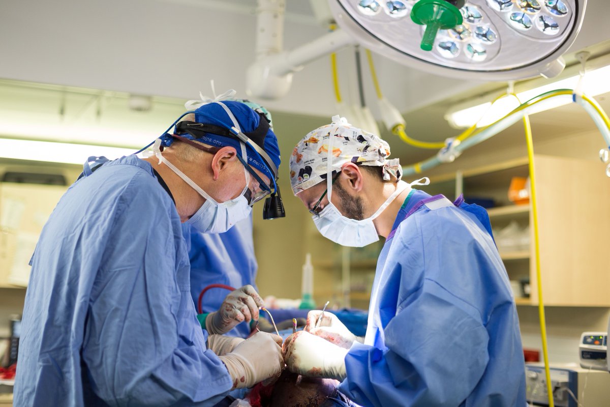 MercyShipsCA's tweet photo. Meet Mark Shrime, the longtime volunteer, Harvard lecturer, global health leader, and new Mercy Ships International Chief Medical Officer: https://t.co/OvqMGPnWno
#GlobalHealth #SafeSurgery #MercyShips https://t.co/7ClF6jWfVl