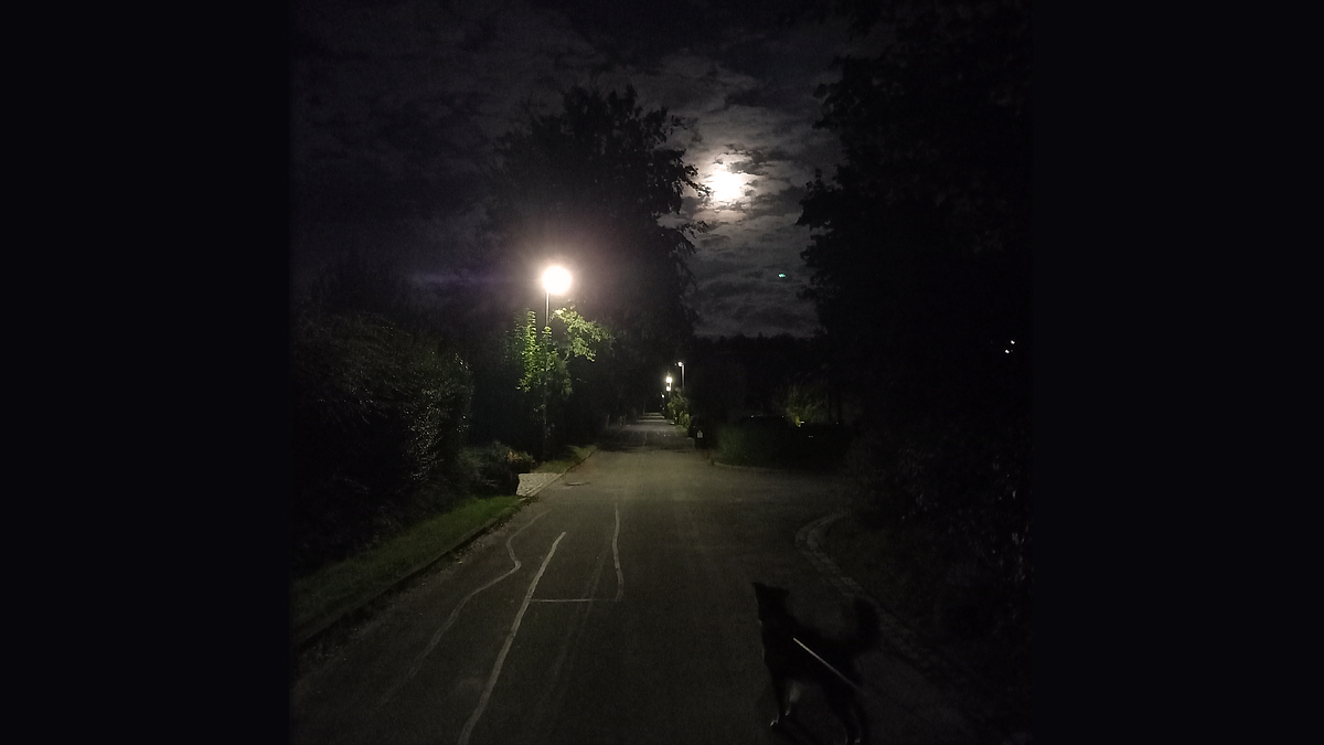 Zen Hanami tweet media