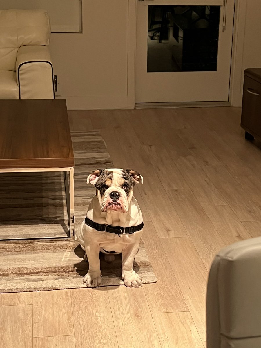 Mo Shaikh tweet media