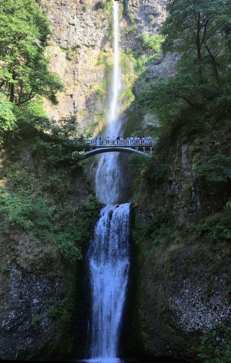 wanderlustwives's tweet photo. Itโs time for #Top4Themes with #Top4Bridges
Our hosts are: @fionamusiclakes @LiveaMemory @gfreetraveler @Giselleinmotion
๐NYC
๐Washington
๐Oregon
๐Nevada https://t.co/JnvDb9T3Vl