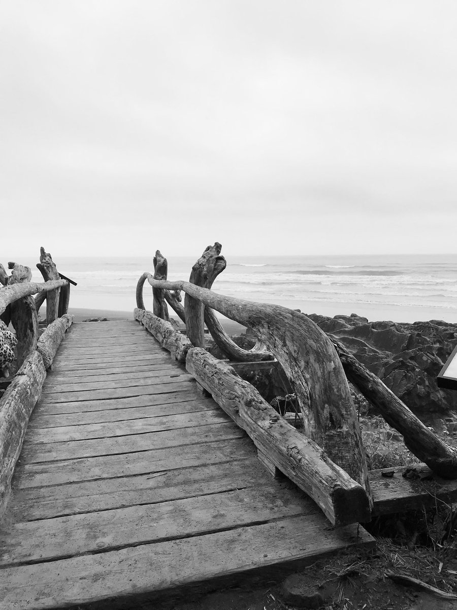 wanderlustwives's tweet photo. Itโs time for #Top4Themes with #Top4Bridges
Our hosts are: @fionamusiclakes @LiveaMemory @gfreetraveler @Giselleinmotion
๐NYC
๐Washington
๐Oregon
๐Nevada https://t.co/JnvDb9T3Vl