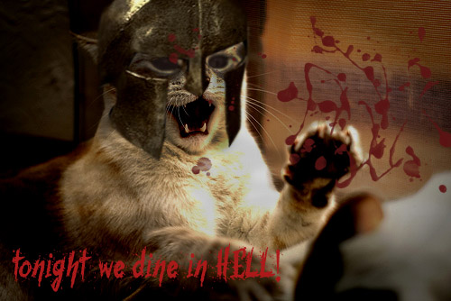 Woolballs's tweet photo. We are 300 woolballs!
#cats #NFTs #woolballs #NFTGiveaways #NFTCommuntiy #NFTcats @Frangomen @DeviantArt https://t.co/HQEm4YU7eo