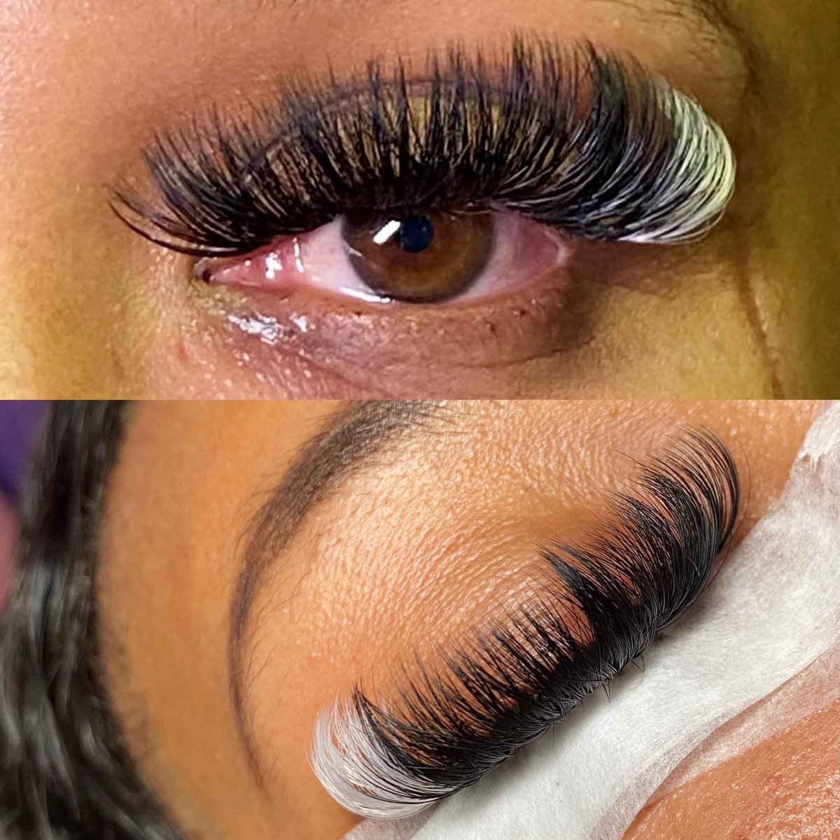 _kiambria's tweet image. Colored sets are always a vibe. 😻🔥 Have you booked your #ButterflyExtensions set yet? 

#ButterflyExtensions🦋 #BookTheLook🌸 #ETXLashArtist🫶🏾 #LongviewLashTech🤍