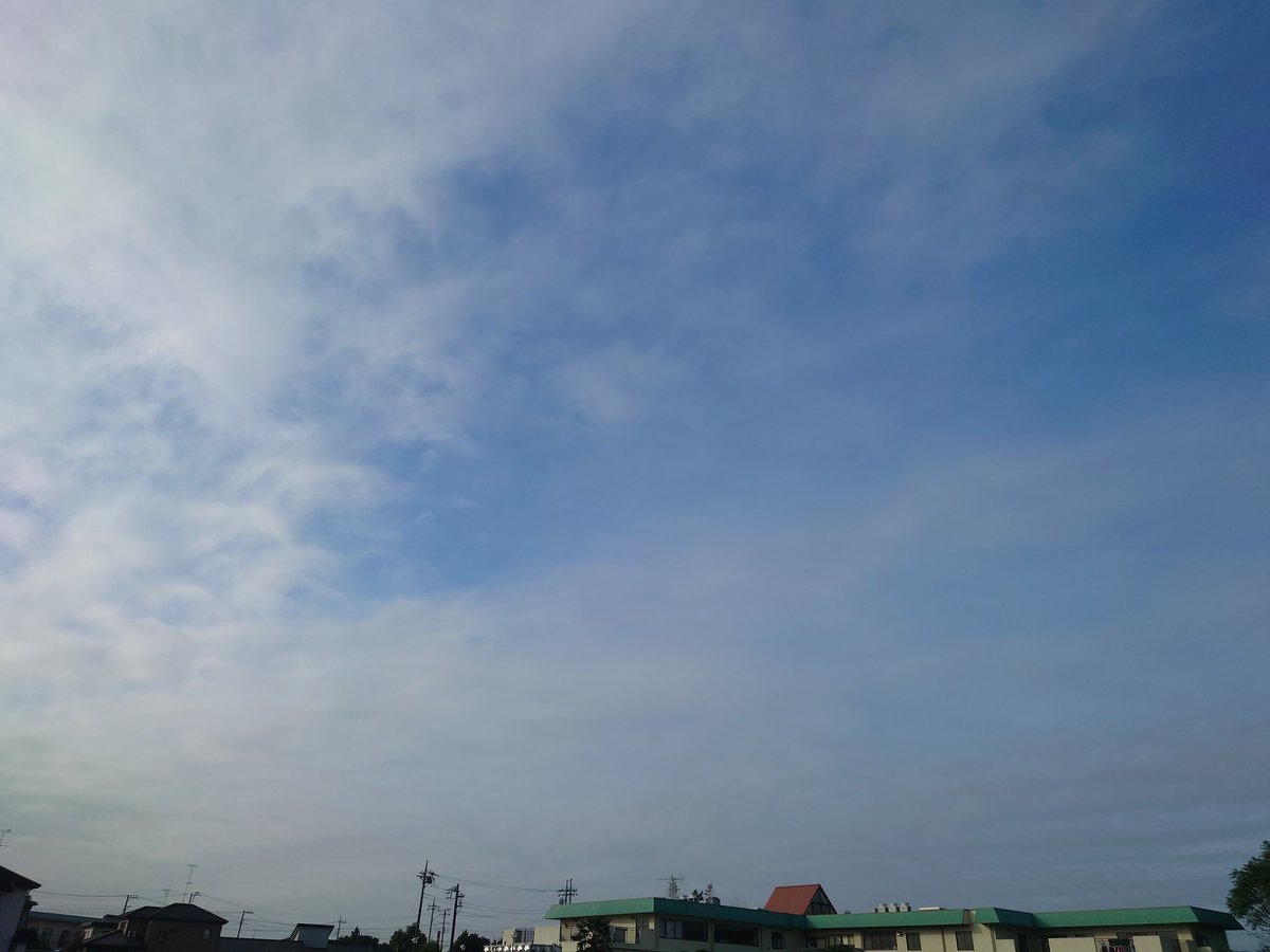 おは農っす‼️~~~ゴーヤ😎

今日もいわゆる…秋晴れ☀昼間は暑さとの勝負だな。昨夜の適度なアルコール摂取のおかげなのか絶好調この上ない🤣🤣🤣

本日もやるぜぃ！Let's 農～ing😎👍

皆さんも上を向いて闊歩しよう😉

#おは農