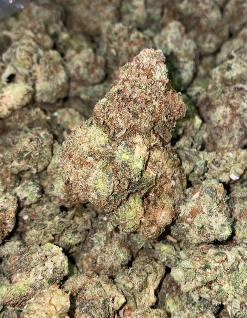 Cannabis Church Los Angeles