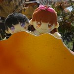 ツイートに含まれる画像