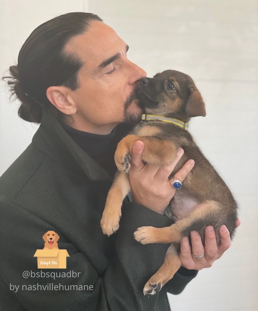 bsbsquadbr's tweet photo. Nossos queridos garotos, incentivando a adoção de pets! Fofos! 🫶🏻🐶
Our dear boys, encouraging the adoption of pets! cute! 🫶🏻💚#BackstreetBoys #nashvillehumane #bsbsquadbr #bsbarmy #bsbfan #squadse #adoption https://t.co/DRkcqqL7uh