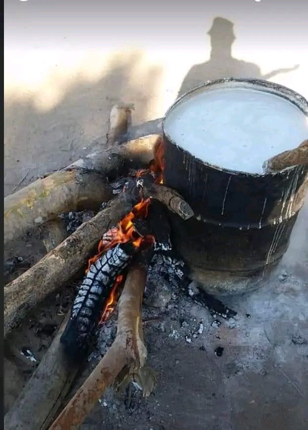 Varimu laboratory tiudze rava papi😂😂