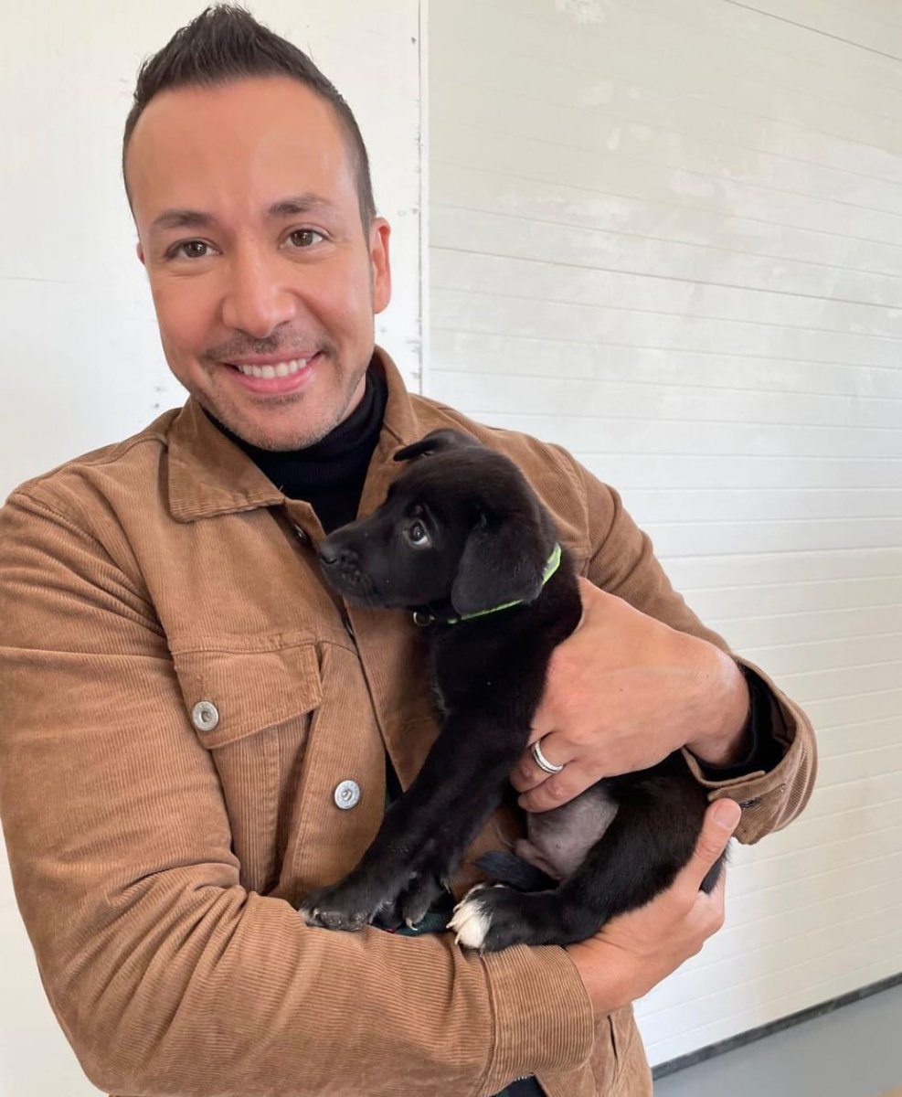 HowitasColombia's tweet photo. 😍🐕‍🦺 
@howied https://t.co/TADjyY74BL