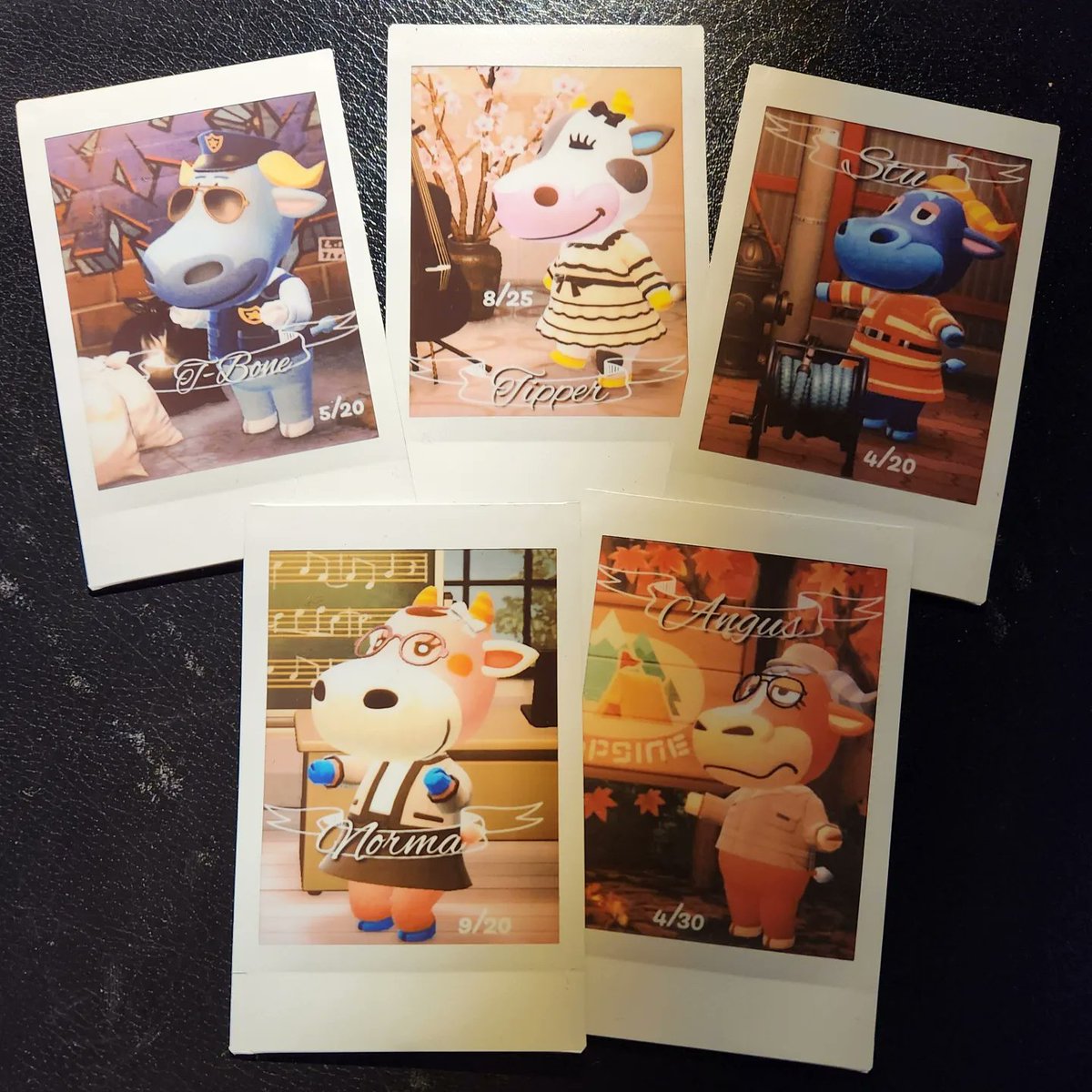 pps_amiibos's tweet photo. These bovine beauties are headed to an all cow island! What can we do for you? 

#AnimalCrossing #ACNH #animalcrossingamiibo #AnimalCrossingNewHorizons #NintendoSwitch #cows https://t.co/A61Q352XnI
