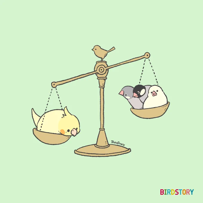 おはようございます。本日は9月13日、世界の法の日とのことです#BIRDSTORY #天秤 #オカメインコ #ブンチョウ 