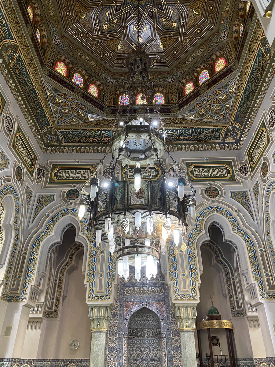 Marnie Fienberg tweet media