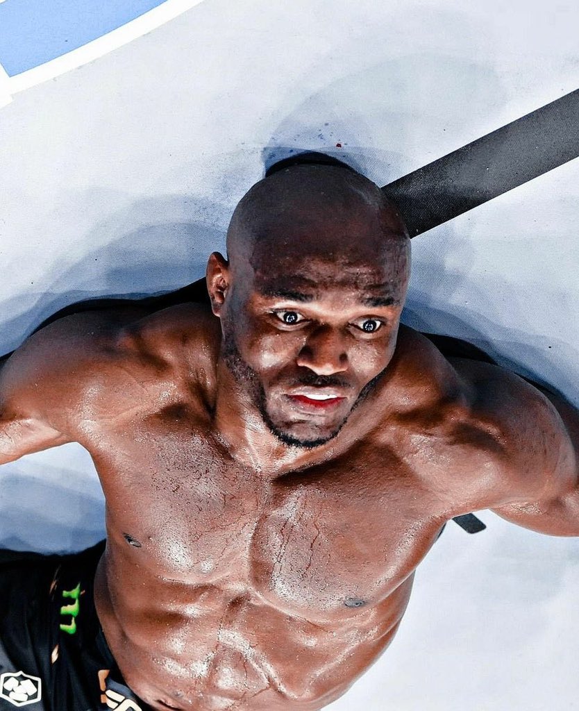 NobrainXelon's tweet photo. @Anub1s_MMA @nosergej @TLSmma @stylebender @USMAN84kg https://t.co/R90F9P6ltX