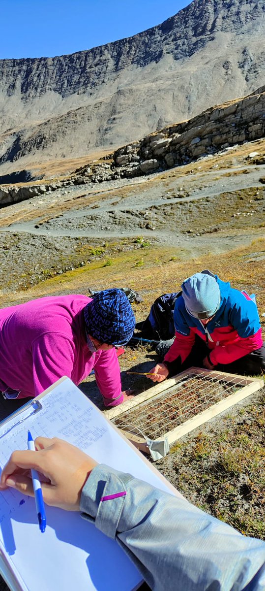 Olga Gavrichkova tweet media