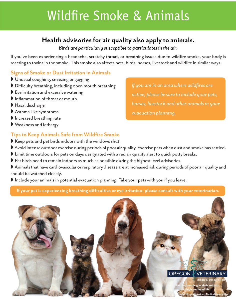 Humane Society C. OR tweet media