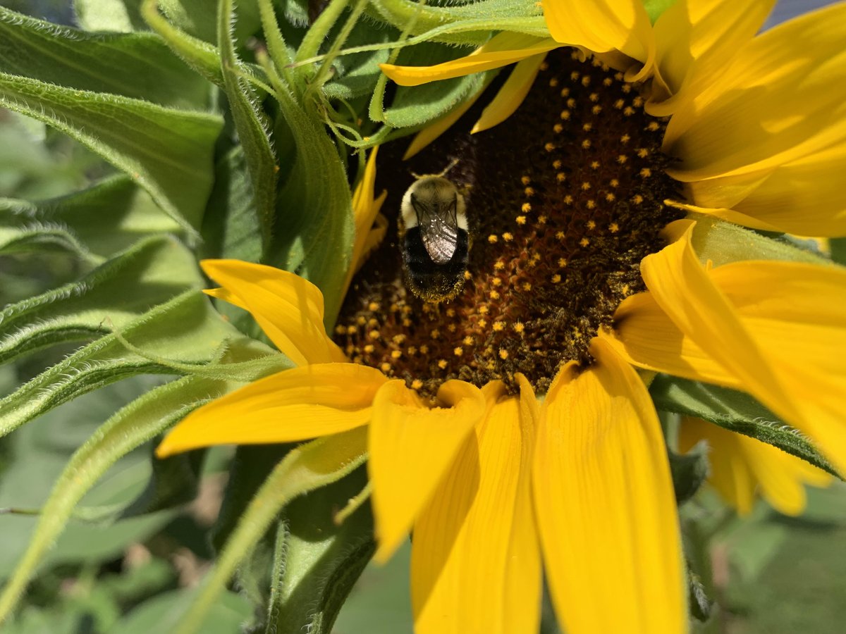 Ontario Today tweet media