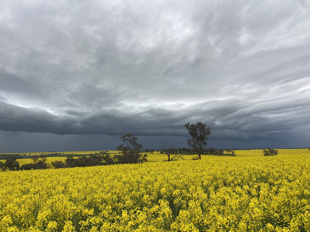 The Story of 2022 so far…
550mm for the year and counting