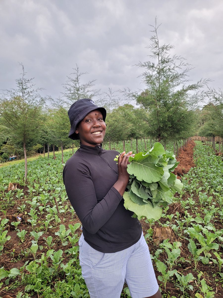 #Agriculture will only become appealing to young people if it is profitable and dynamic.
And then, the markets are critical in attracting young people to do agriculture. #YouthInAg
📸:@JebichiiLydia.