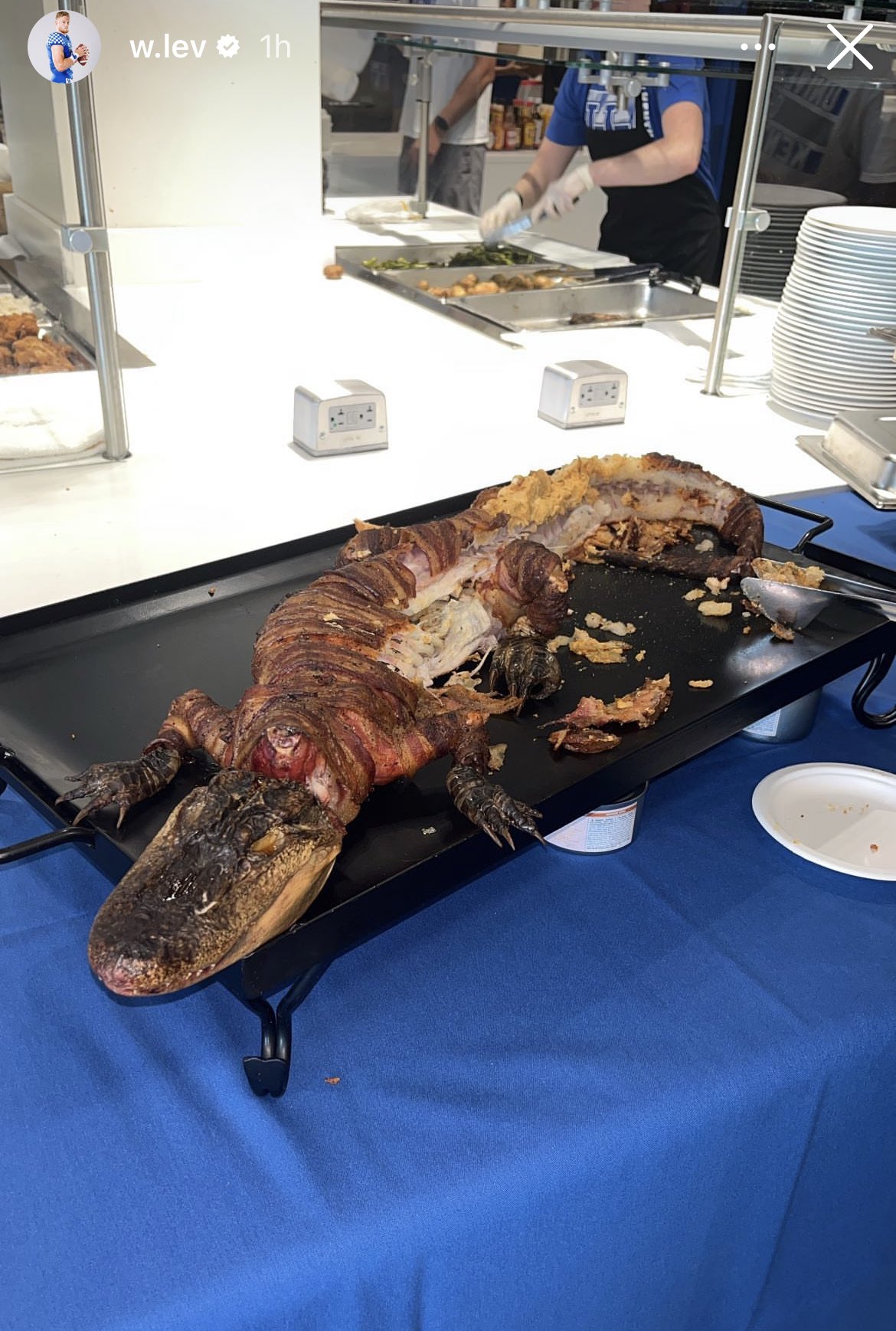 Nick Roush on Twitter "The Kentucky football team dined on baconwrapped Gator to celebrate the