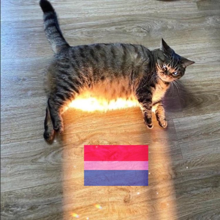 retweet if your account is a safe space for bisexuals!!
