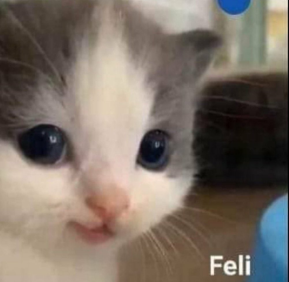 Olivi3r's tweet image. Ya escuchando #ElMejorPoderoso por @convoynetwork en recalentado ! @ruleiro @eltalcha