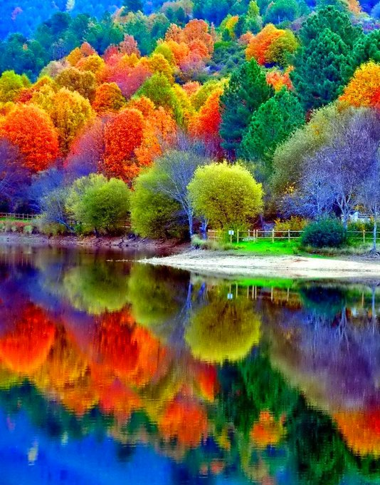 tangbo95's tweet photo. Good morning, my dearest friends. Let luck accompany you. From a hopeful Tuesday, if you stick to your faith, you will be surprised and rewarded. Come on https://t.co/C8xxgEl2Fx