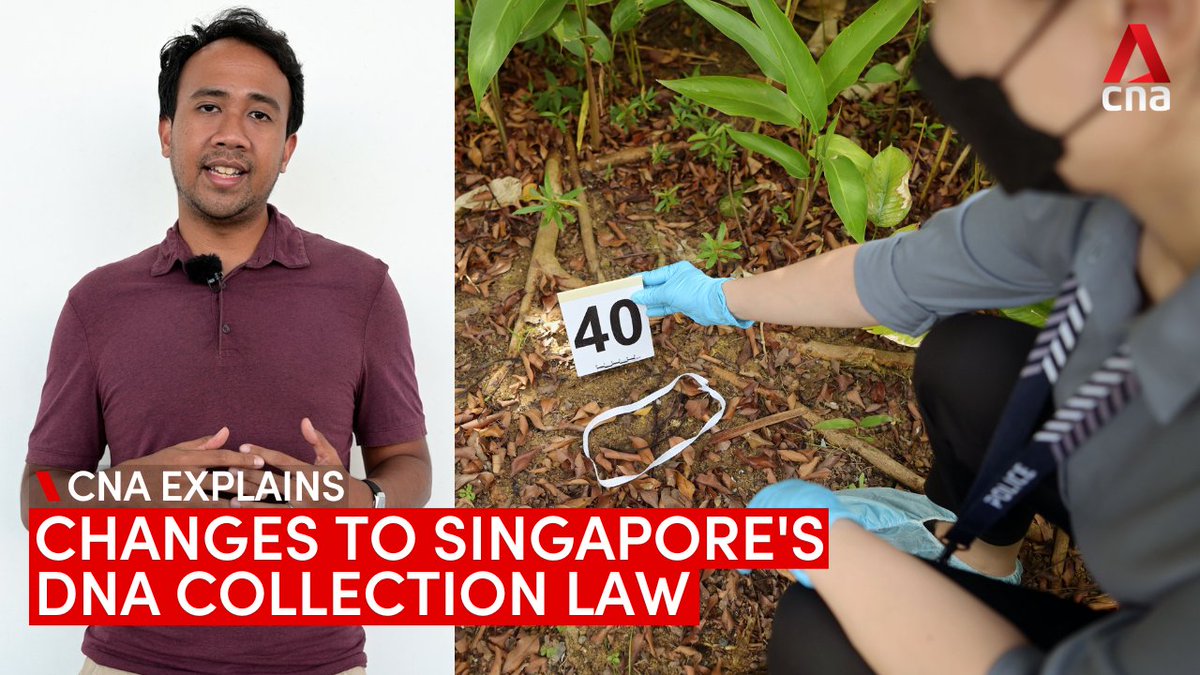 WATCH Singapore police will soon collect DNA from more offenders under