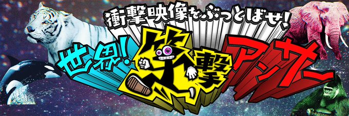 衝撃映像をぶっとばせ 世界 笑撃アンサー 日本テレビ