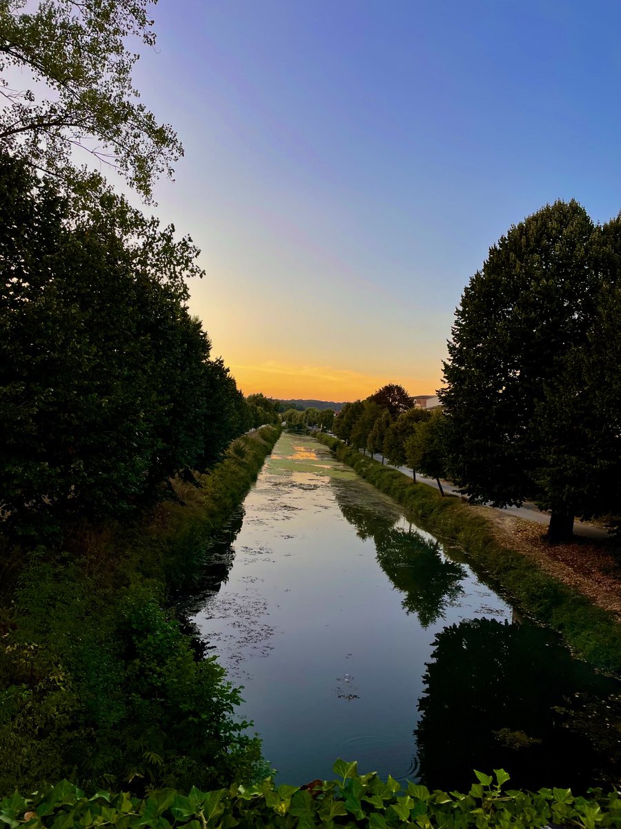 #evening #eveningwalk #sun #sunset #river #nature #whatmorecaniaskfor            Une superbe promenade avec une magnifique photo prise par moi . Bonne nuit tout le mondes .!