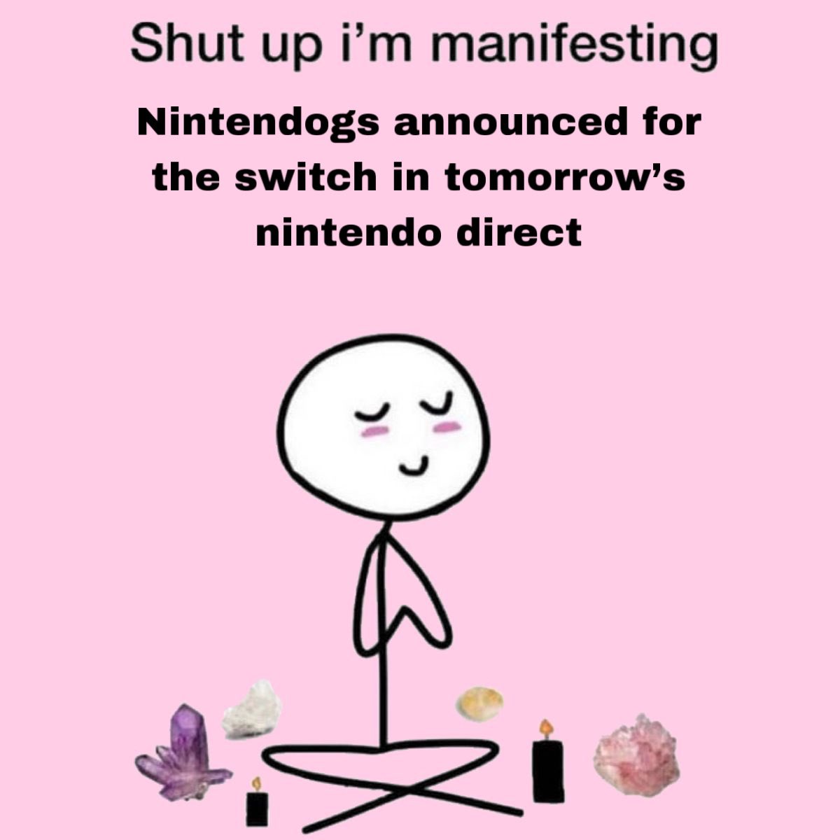 🤍Ana 🕹️Infinity Nikki 🤍 (@anascrossing) on Twitter photo 