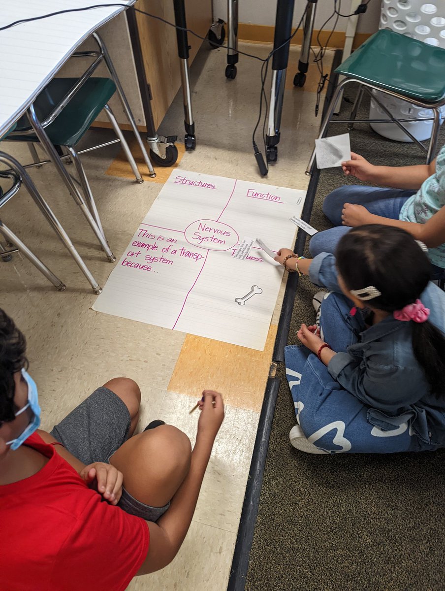Mrs. Rader's Class tweet media