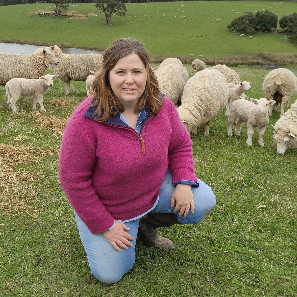 RabobankAU's tweet photo. The newly announced #Rabobank sponsored 2023 @nuffieldaust Scholar, South Australia’s @SammyMc_24 will explore how producers can gain production and welfare benefits by installing simple ‘play’ equipment in #sheep feedlots. 

Read Sammy's full story below 👇

#Sheeptember