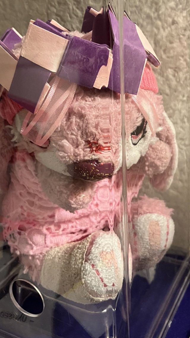 RoseMcCain18's tweet photo. This is Dakota my stuffed baby bunny she’s very cute hope you think that too https://t.co/1Y6g6GszhT