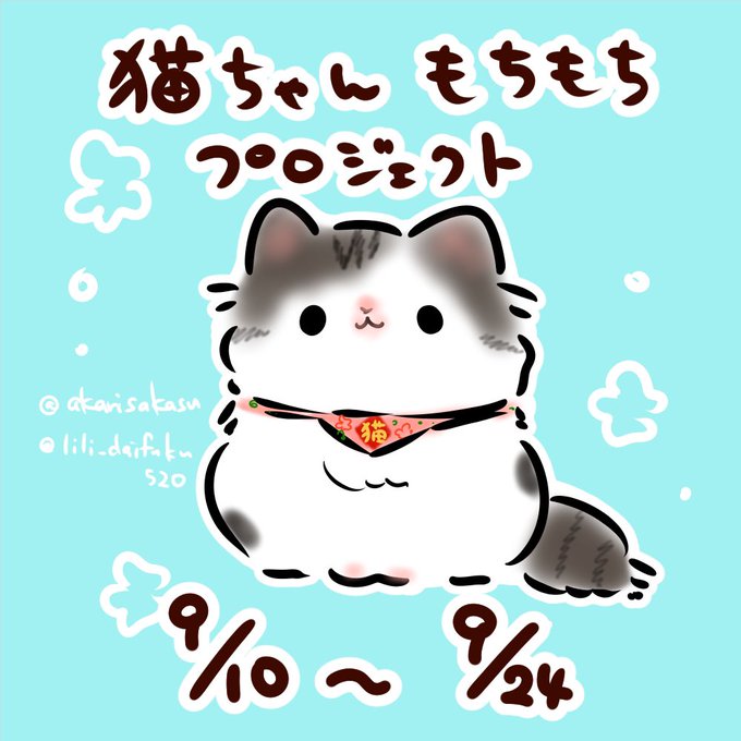 「猫ちゃんもちもちプロジェクト」のTwitter画像/イラスト(新着))